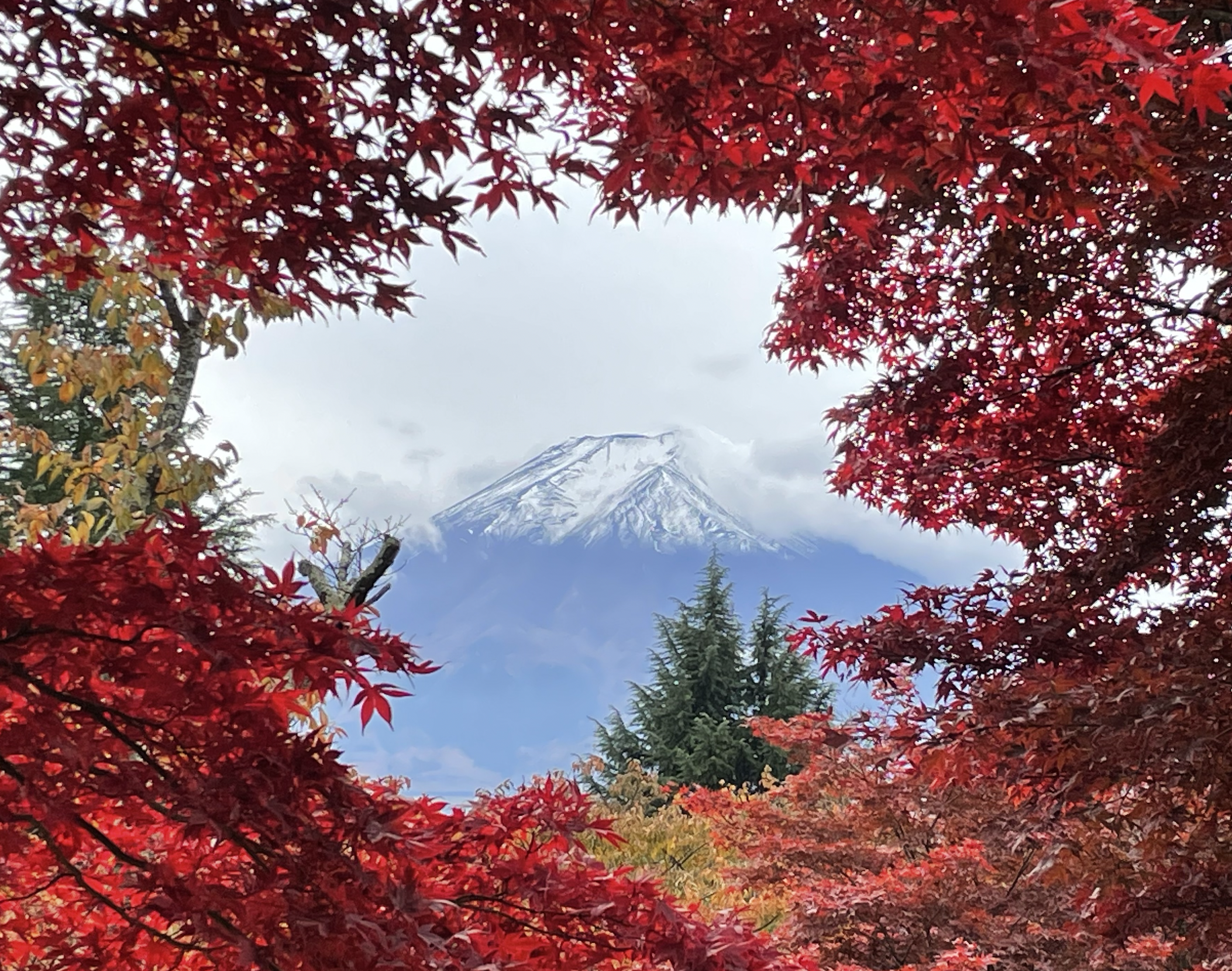 Update: And Sorry About the Hiatus