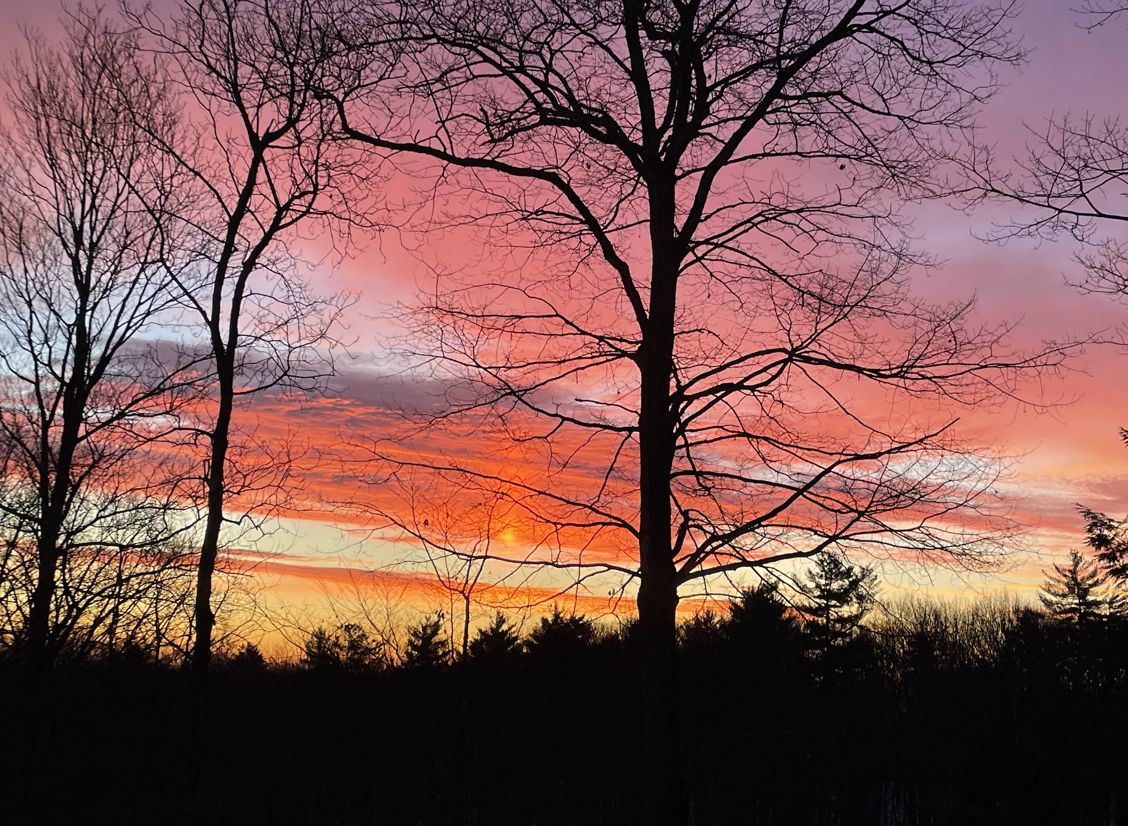 Title Reveal, and What Comes Next Title Reveal, and What Comes Next